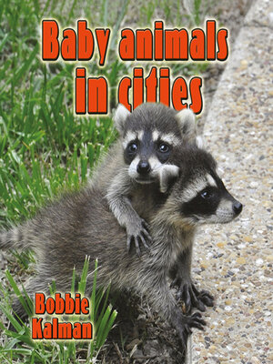cover image of Baby animals in cities